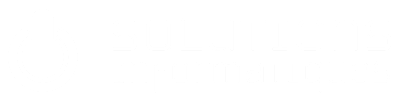 Solutions Informatiques : site carrière