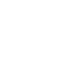 MSC career site