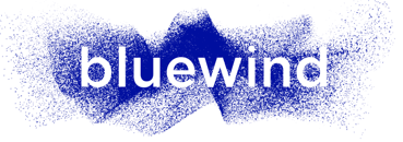 BLUEWIND S.R.L. company logo