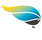 Boplats Syds karriärsida