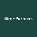 Birn+Partners company logo