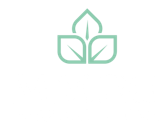 Macro Group  career site