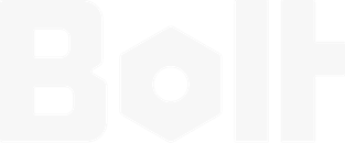 Bolt Insight career site