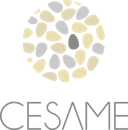 Logo de l'entreprise CESAME