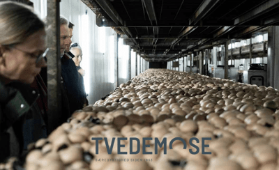 Virksomhed 6