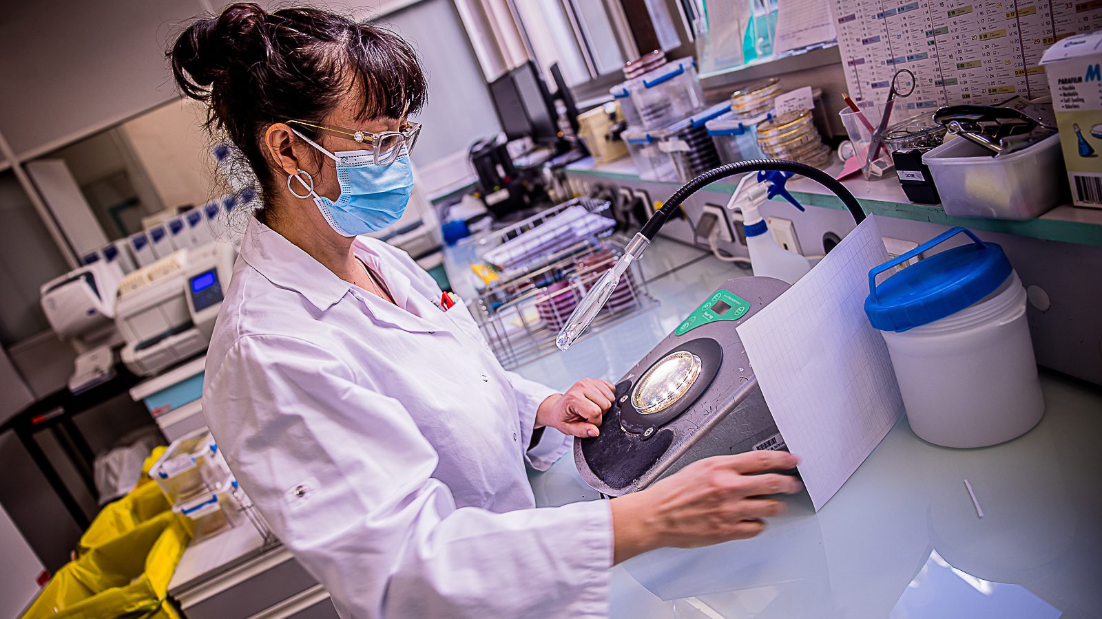 Agroalimentaire Analyse Laboratoire