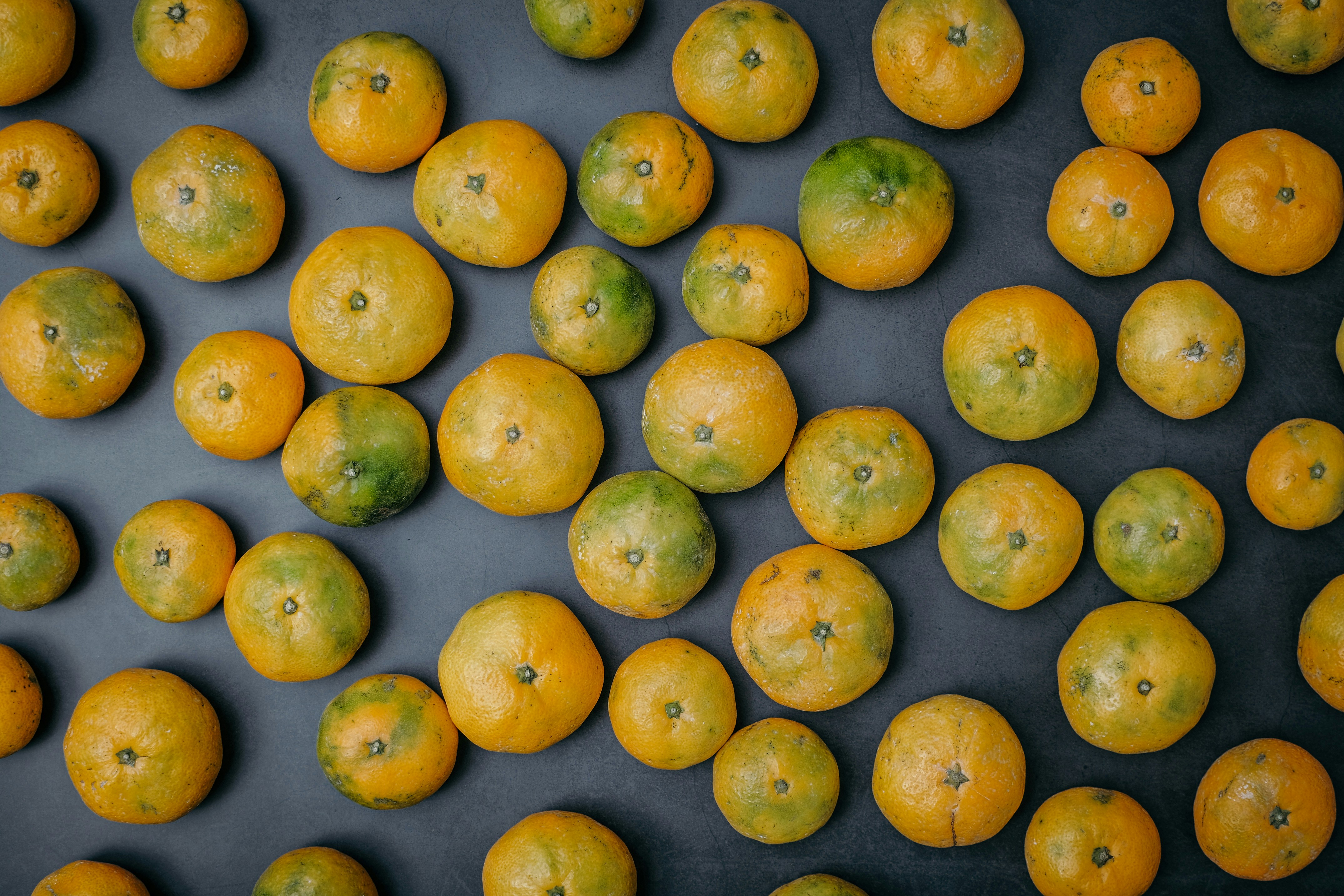 a group of oranges sitting next to each other