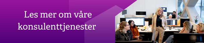 Konsulenttjenester_002