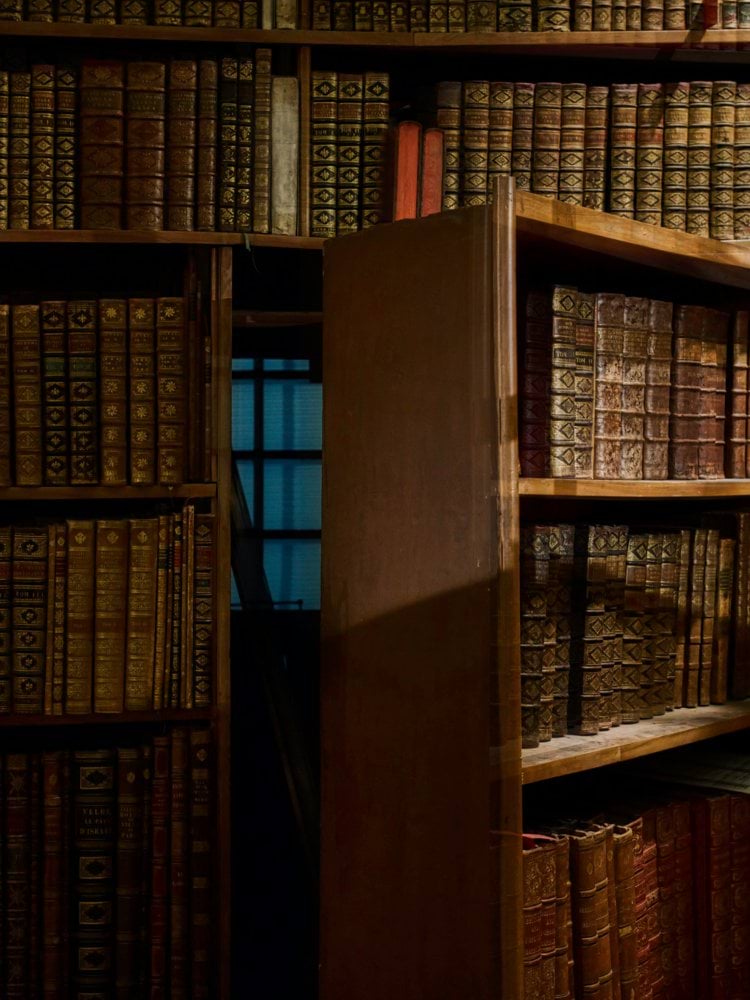 opened secret door inside library