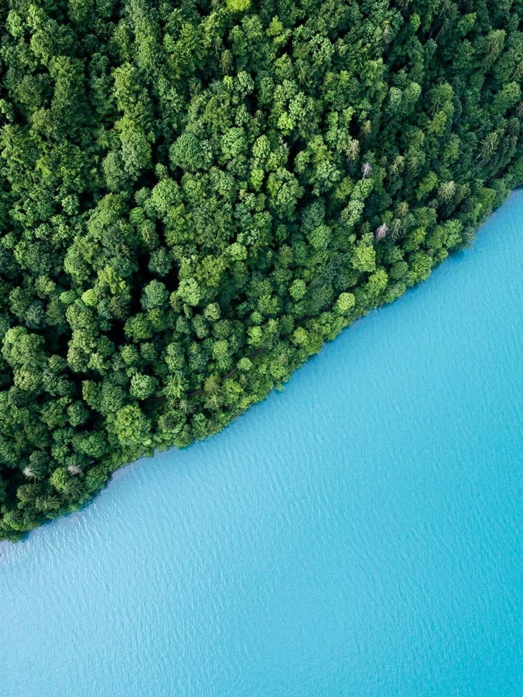 bird's eye view photography of trees and body of water