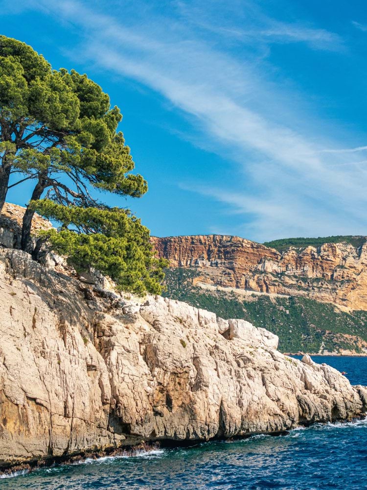 green trees on brown rocky mountain beside blue sea under blue sky during daytime