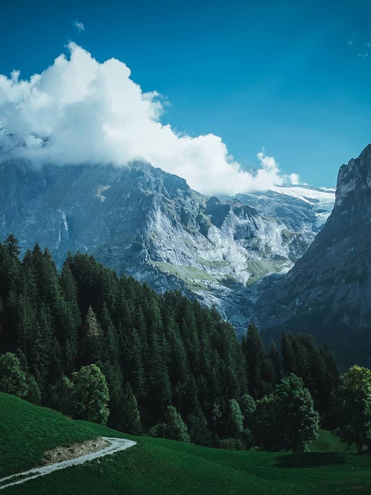 green trees beside mountain during daytime