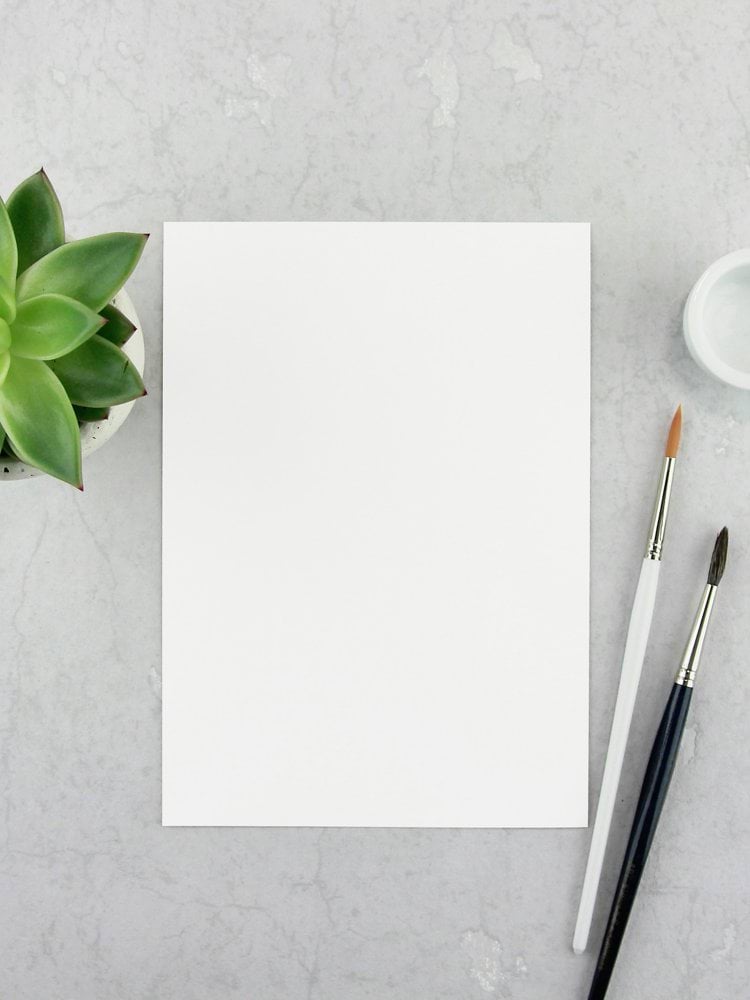 white printer paper beside plant and paintbrush