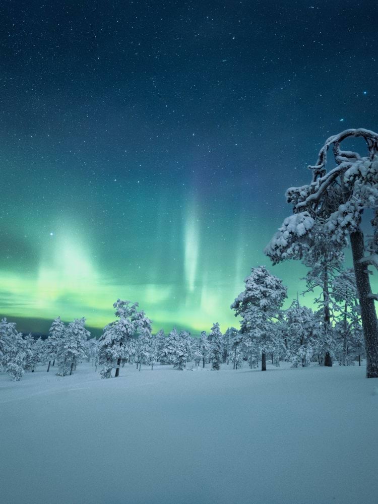 snow covered ground under starry night