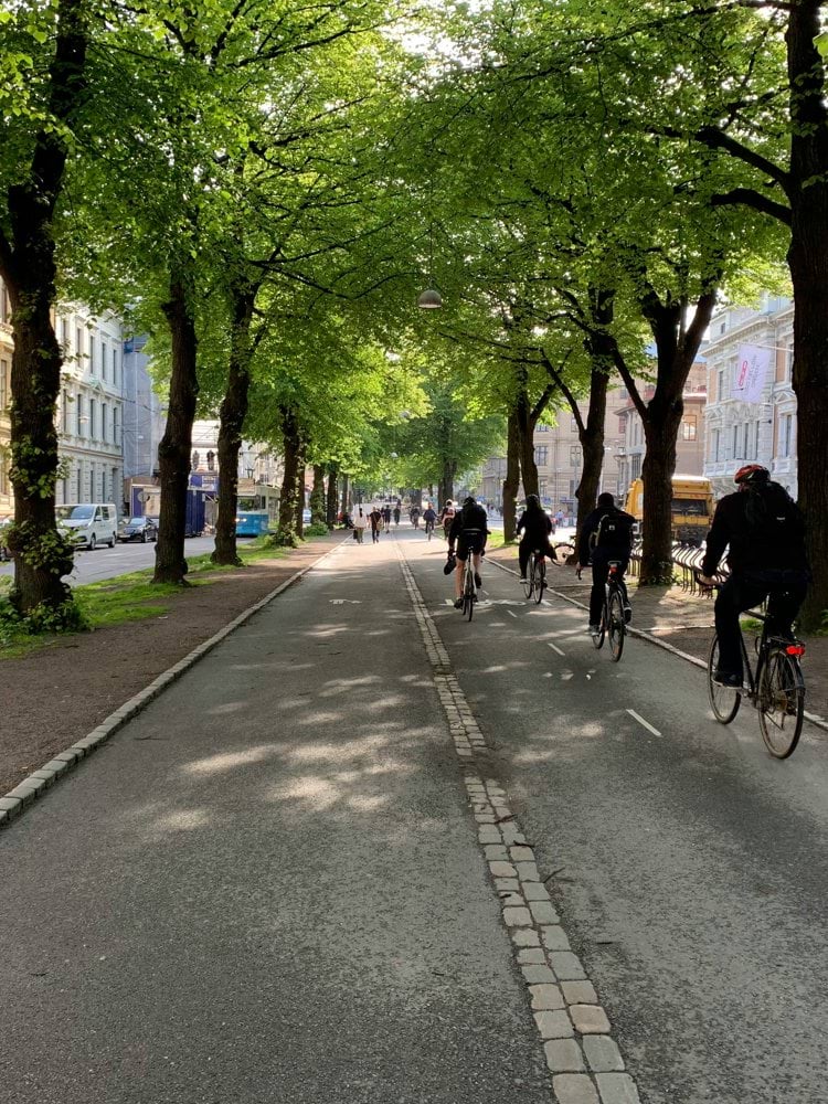 people walking on sidewalk near green trees during daytime