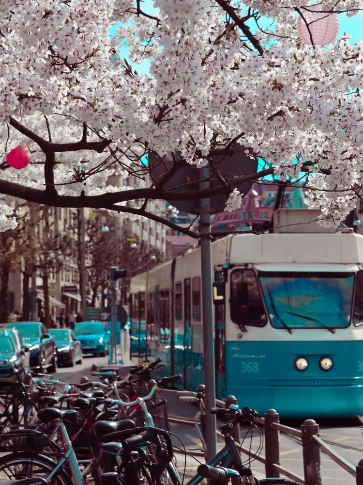 a blue and white bus driving down a street