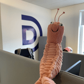 Picture of Mr. Shrimp