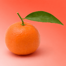 Photo de Alexandre Pinon-Jacques