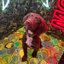 Picture of Axel Lattin