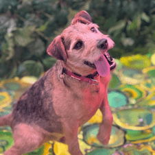 Picture of Teddy Caine