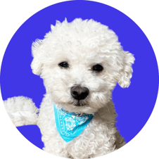 Picture of Charlie