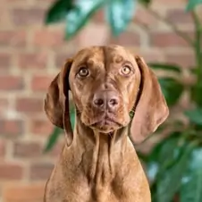 Picture of Vicky Rijkeboer