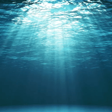 Picture of Hajar Bouannani