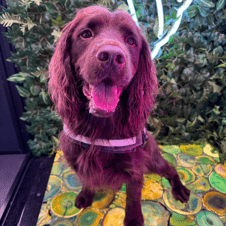 Picture of Dave Ward