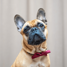 Picture of Bosse Lacki