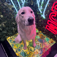 Picture of Bailey Cole