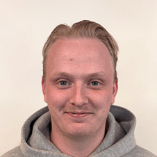 Bild på Mio Elefant