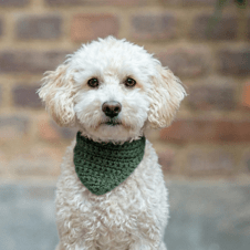 Picture of Pudding Irgens