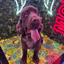 Picture of Teddie Hall