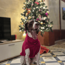 Picture of Ramon Hanini