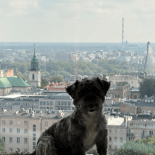 Na zdjęciu: Ami