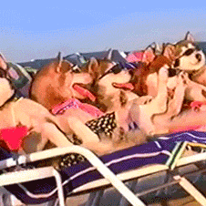 Picture of Andreas Hjorth