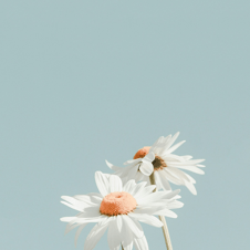 Picture of Randy Anggriawan