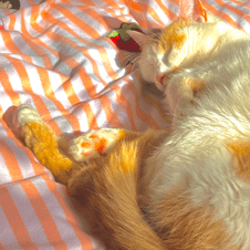 Picture of Samantha W.