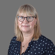 Bild på Sofia Parmström /OMD