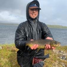 Picture of Alexander Bergström