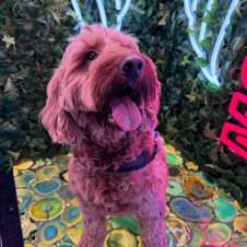 Picture of Stuart Ward