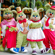 Bild på Liseberg