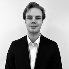Bild på Herman