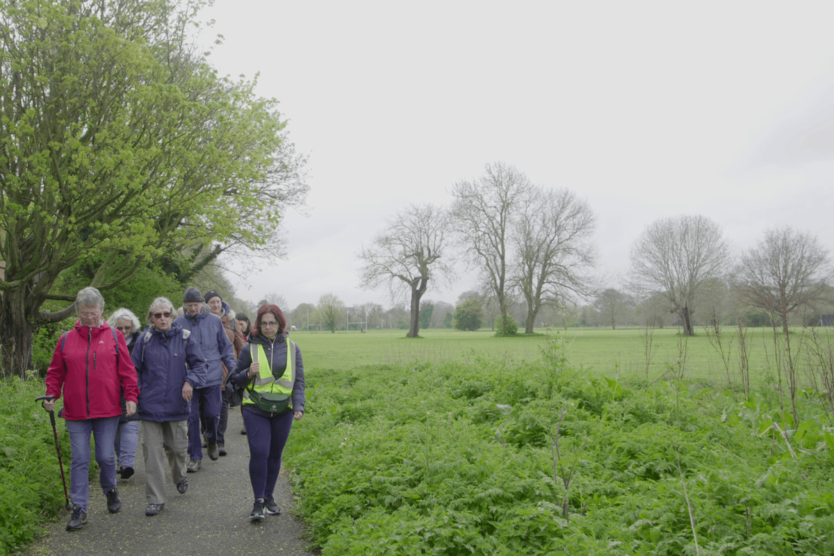 A group of people walk along a paved path through a green park, with trees and open grassland stretching into the background.