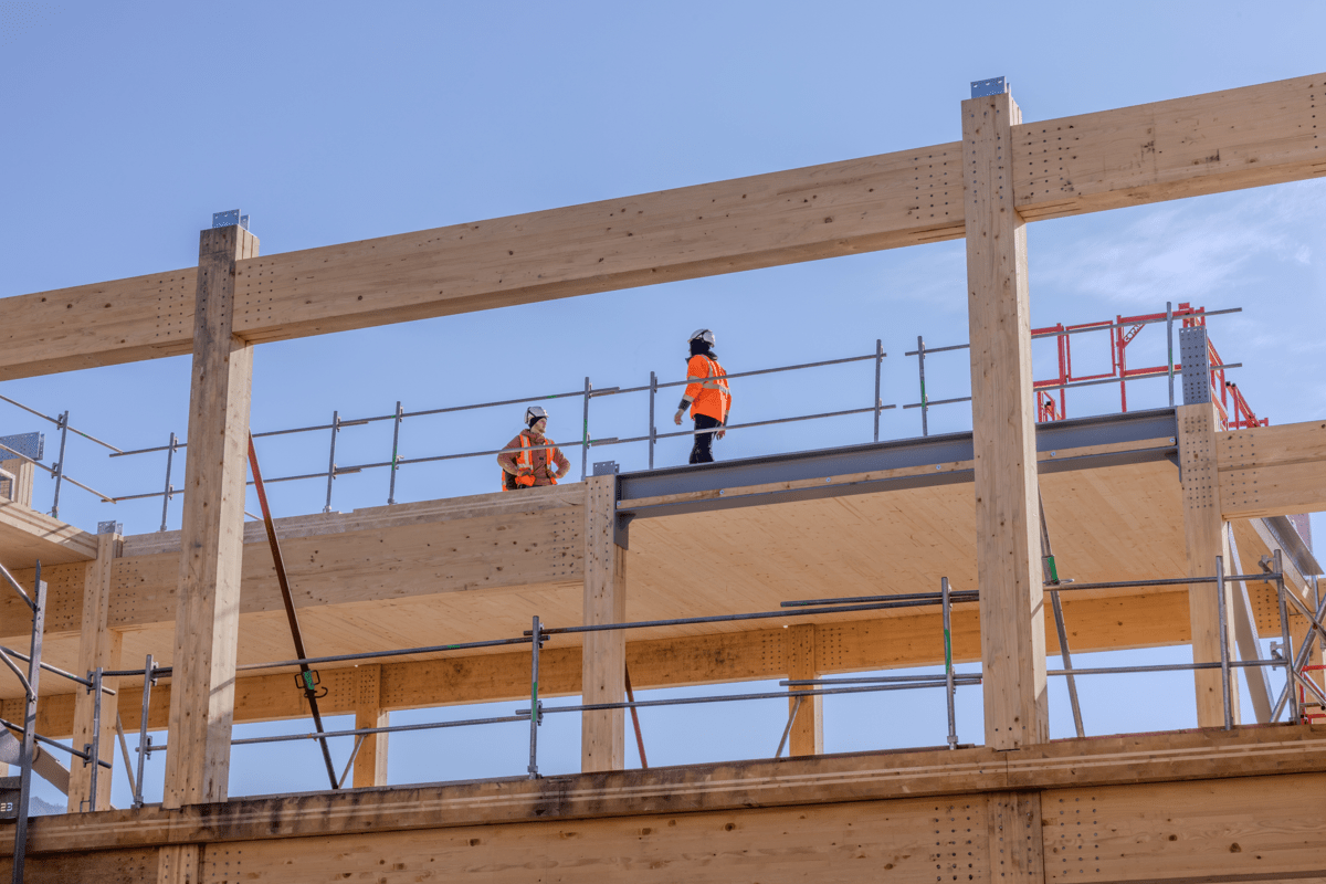 structure bois suivi chantier