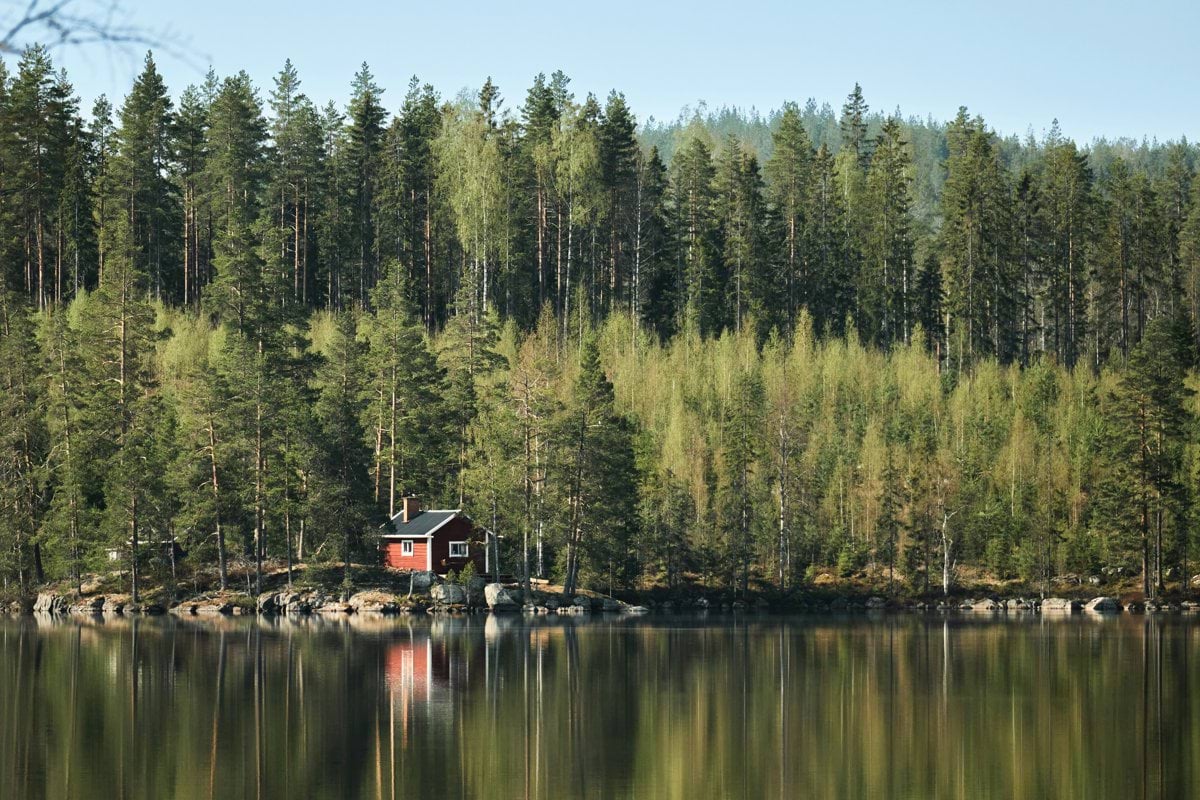a cabin on a lake surrounded by trees