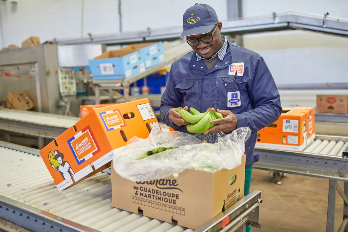 Collaborateurs au travail