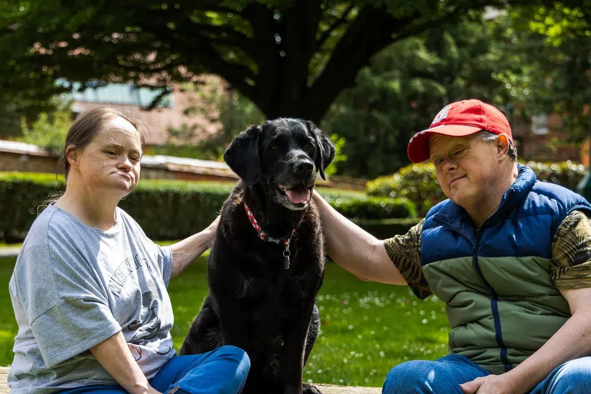 Community dog black labrador sitting with adults in park in sunshine