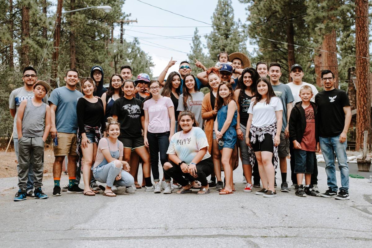 group of people taking photo near brown wooden tree