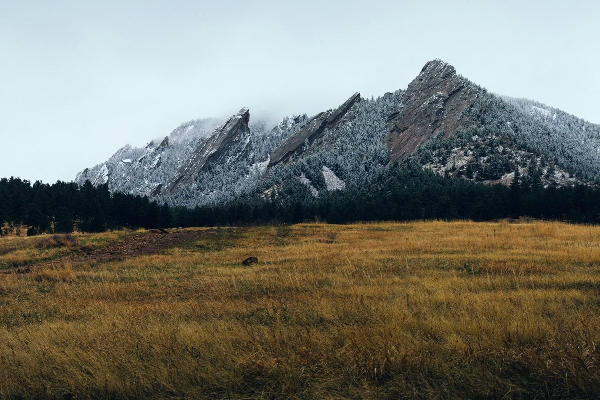 a field with a mountain in the background
